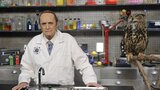 The Big Bang Theory
