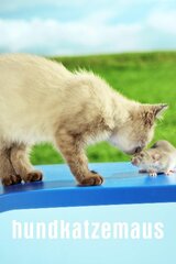 Hundkatzemaus
