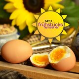 SAT.1-Frühstücksfernsehen