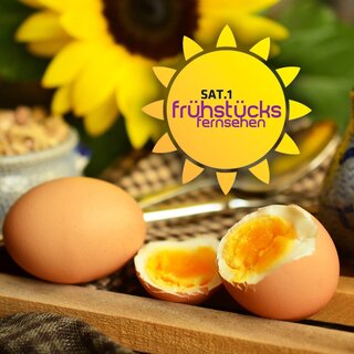 SAT.1-Frühstücksfernsehen