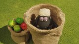 Shaun, das Schaf