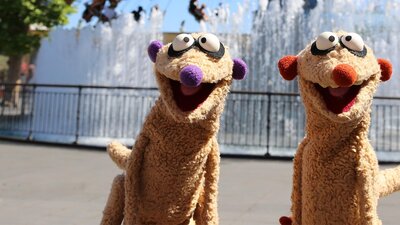 Ein Fall für die Erdmännchen