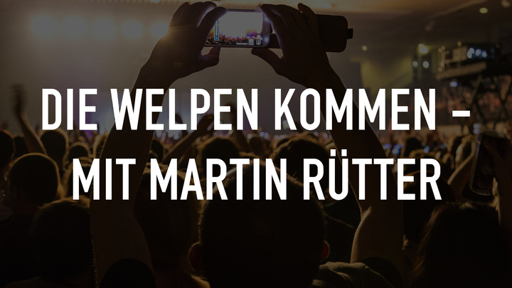 Die Welpen kommen - Mit Martin Rütter