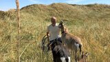 Die Tierärzte - Retter mit Herz