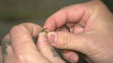 Abenteuer Leben spezial