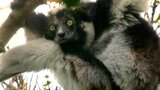 Unbekanntes Madagaskar