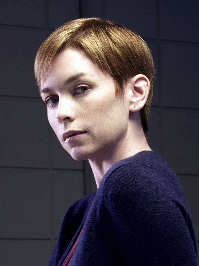 Julianne Nicholson als Detective Megan Wheeler in Criminal Intent - Verbrechen im Visier