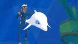 Zoom - Der weiße Delfin