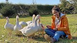 Pia und die Haustiere