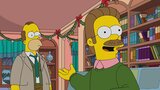 Die Simpsons