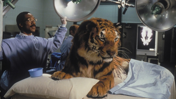 Dr. Dolittle