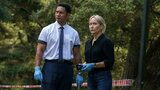 Brokenwood - Mord In Neuseeland