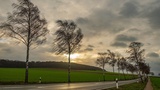 42 - Die Antwort auf fast alles