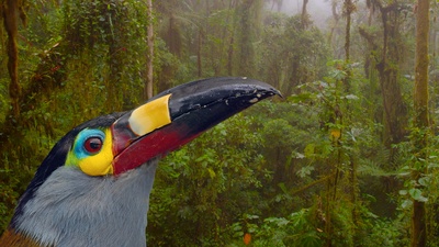 Ecuador, Hotspot der Artenvielfalt