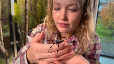 Nina und die wilden Tiere
