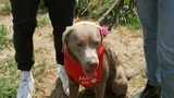 KiKA LIVE