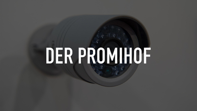 Der Promihof