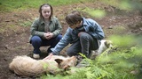 Tiere bis unters Dach