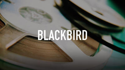 Blackbird