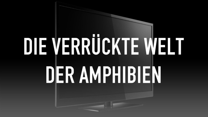 Die verrückte Welt der Amphibien