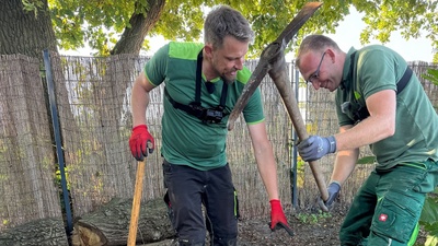 Achtung Kontrolle! Einsatz für die Ordnungshüter